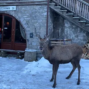 Jaszczurówka 26 Kwatera prywatna Zakopane